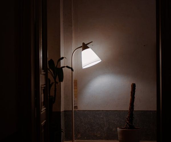 A cozy and quiet corner of a room with a yoga mat, a plant, and soft light.